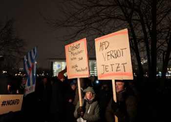 Wahlcheck: Wer will ein AfD-Verbot?