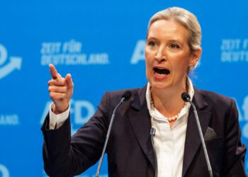 Die AfD in ihren eigenen Worten: Eine Partei des Rassismus