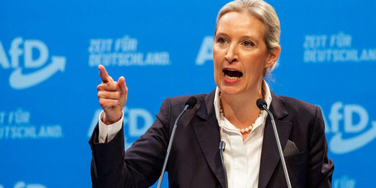 Die AfD in ihren eigenen Worten: Eine Partei des Rassismus