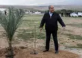Israels vom Internationalen Strafgerichtshof gesuchter Premierminister Netanyahu pflanzt einen Baum. Israel versucht, die Natur Palästinas zu verändern. Aber die Bäume sterben. (Foto: AFP)