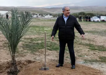 Israels vom Internationalen Strafgerichtshof gesuchter Premierminister Netanyahu pflanzt einen Baum. Israel versucht, die Natur Palästinas zu verändern. Aber die Bäume sterben. (Foto: AFP)