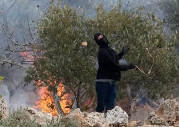 Israelische Siedler greifen Olivenbäume im Westjordanland an, Palästinenser sind verzweifelt [Ammar Awad/Reuters]