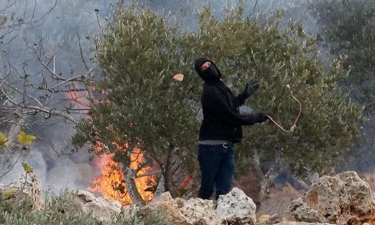 Israelische Siedler greifen Olivenbäume im Westjordanland an, Palästinenser sind verzweifelt [Ammar Awad/Reuters]